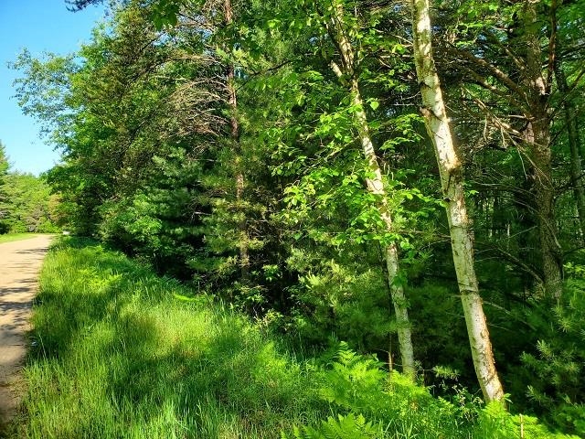 0 Hillside Drive Moffatt Township MI 48610