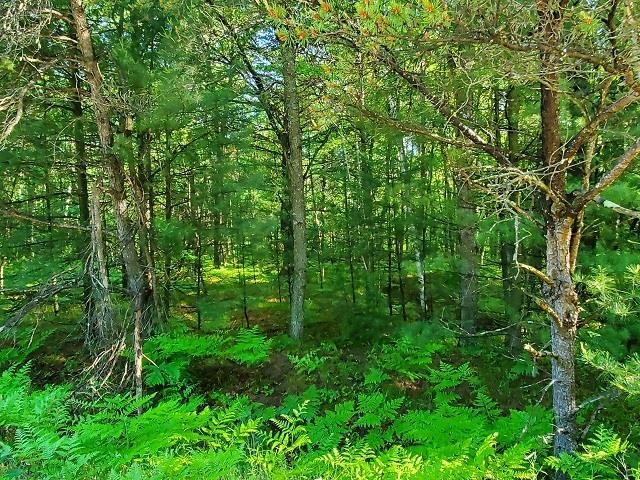 0 Hillside Drive Moffatt Township MI 48610