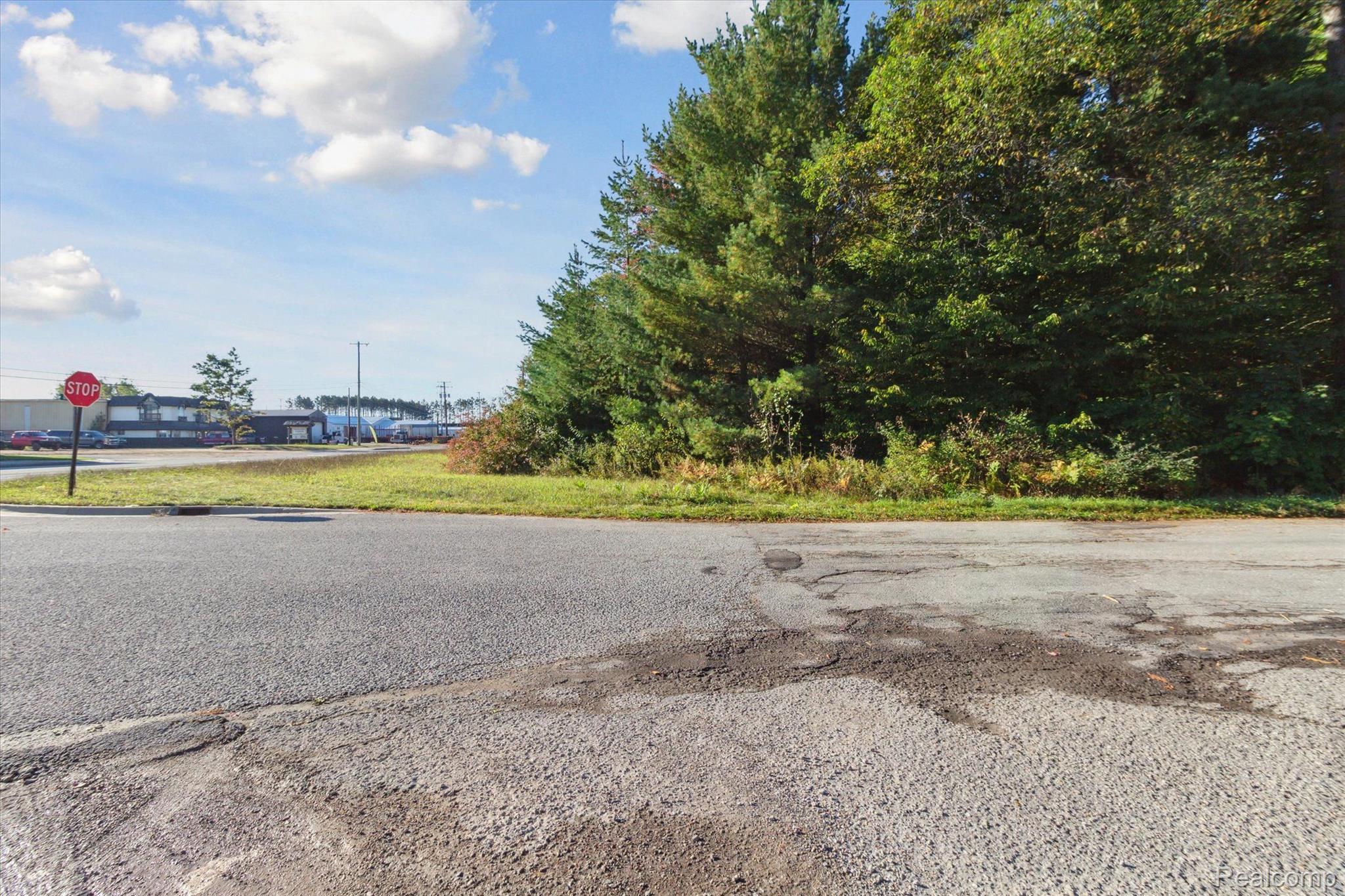 1043 Noirot Street Bagley Township MI 49735