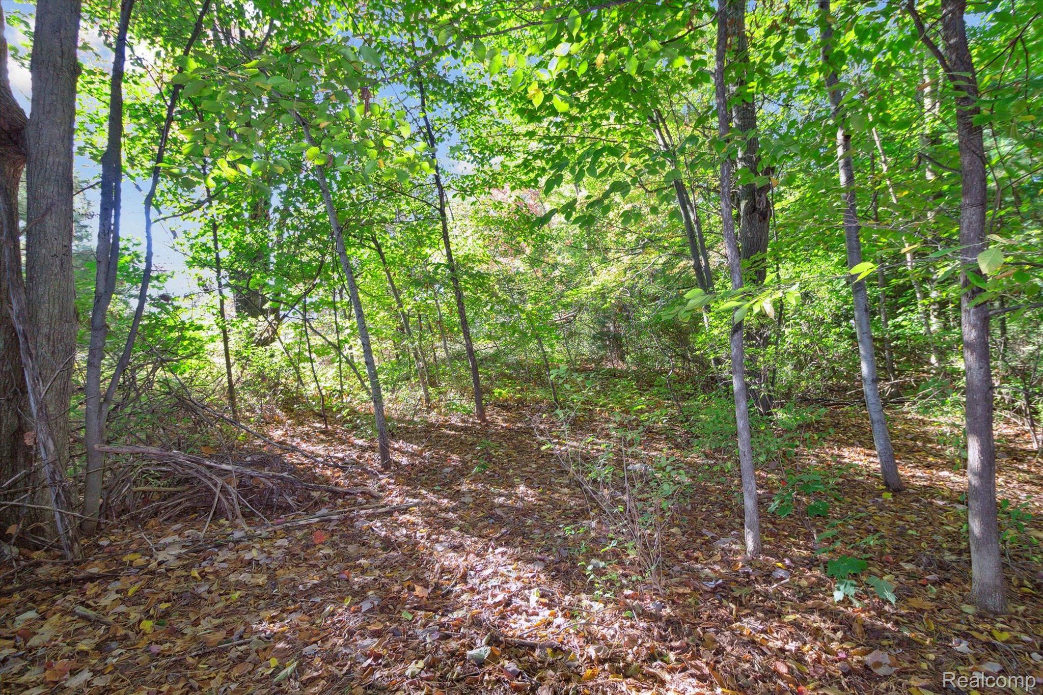 1043 Noirot Street Bagley Township MI 49735