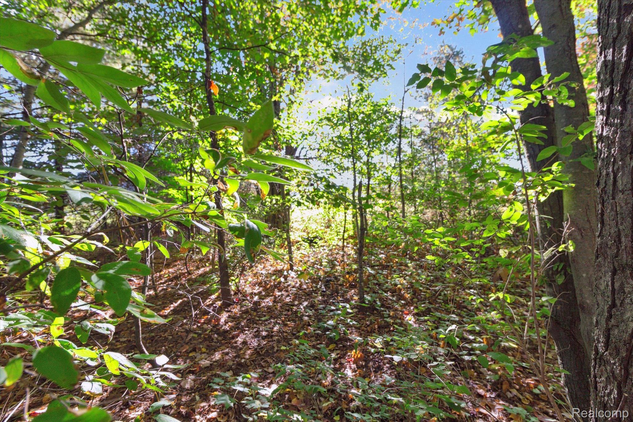 1043 Noirot Street Bagley Township MI 49735