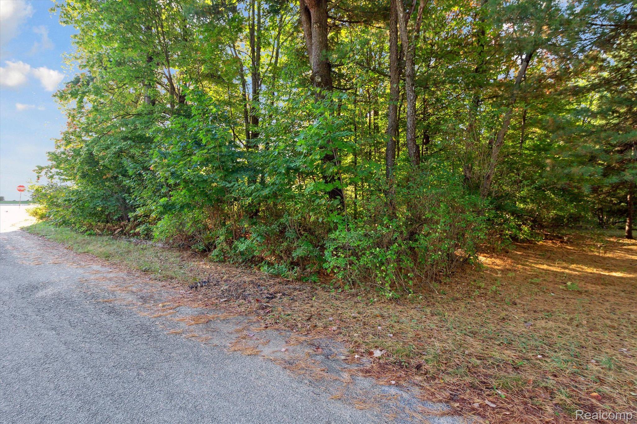 1043 Noirot Street Bagley Township MI 49735