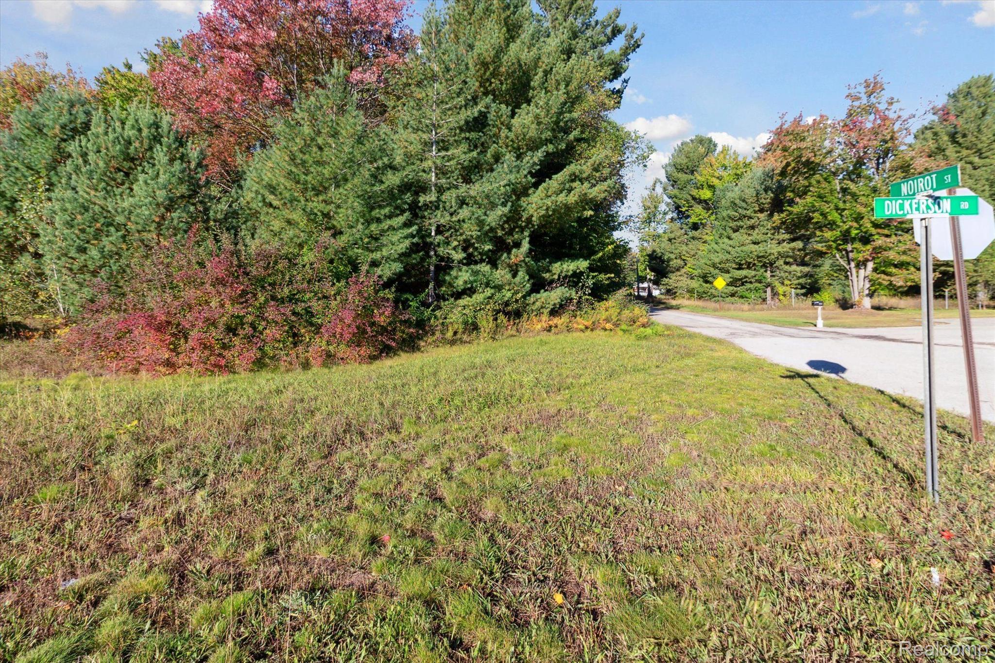 1043 Noirot Street Bagley Township MI 49735