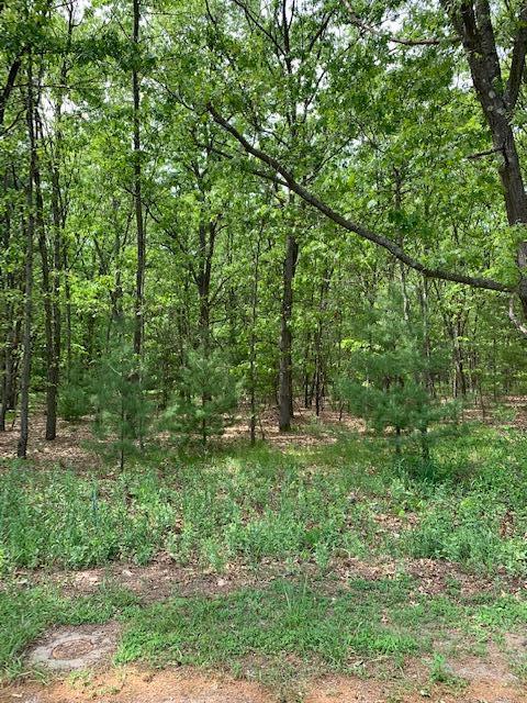 Lot 11 Lakeshore Street Montague Township MI 49437