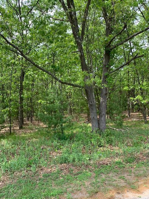 Lot 11 Lakeshore Street Montague Township MI 49437