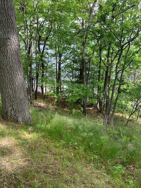 Lot 11 Lakeshore Street Montague Township MI 49437