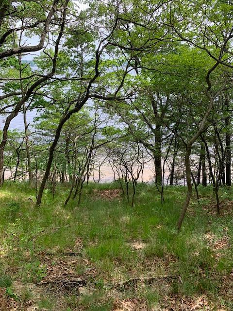 Lot 11 Lakeshore Street Montague Township MI 49437