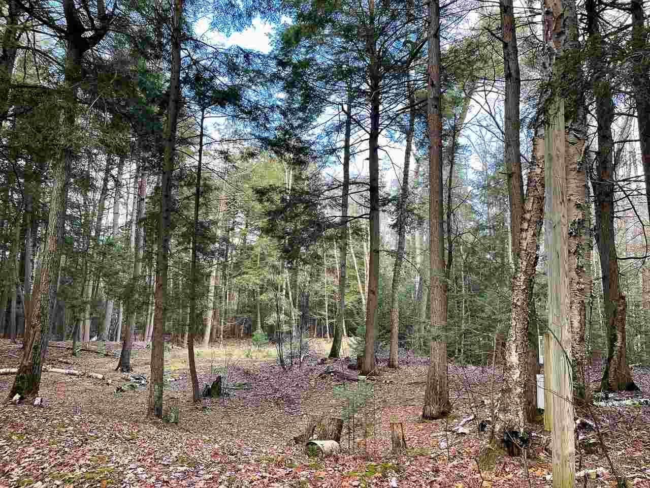 Tbd East Side Drive Peaine Township MI 49782