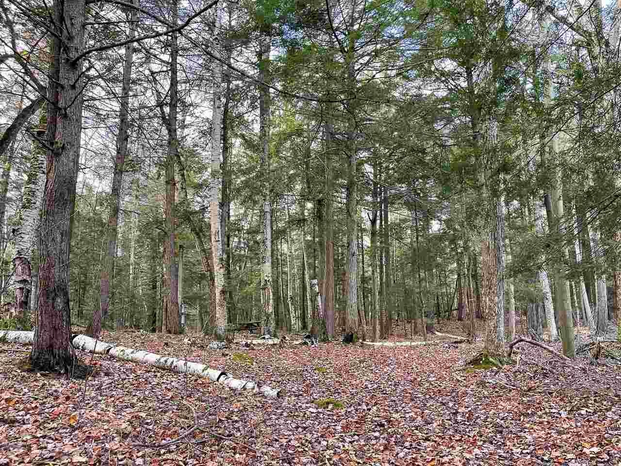Tbd East Side Drive Peaine Township MI 49782
