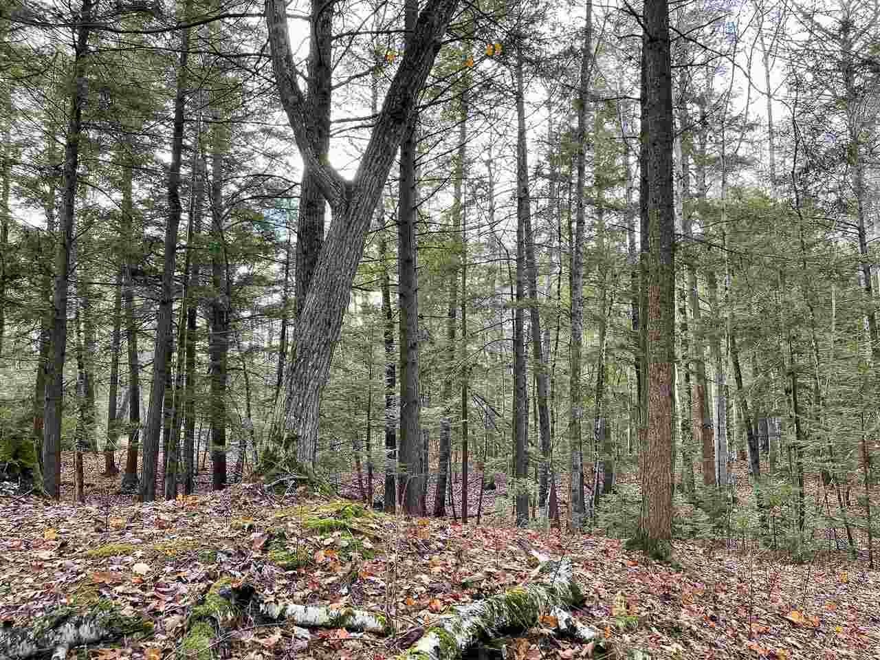 Tbd East Side Drive Peaine Township MI 49782