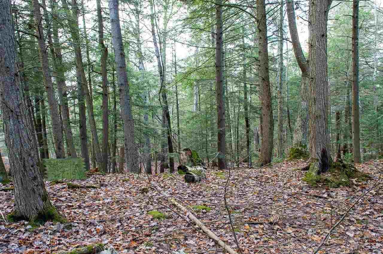 Tbd East Side Drive Peaine Township MI 49782