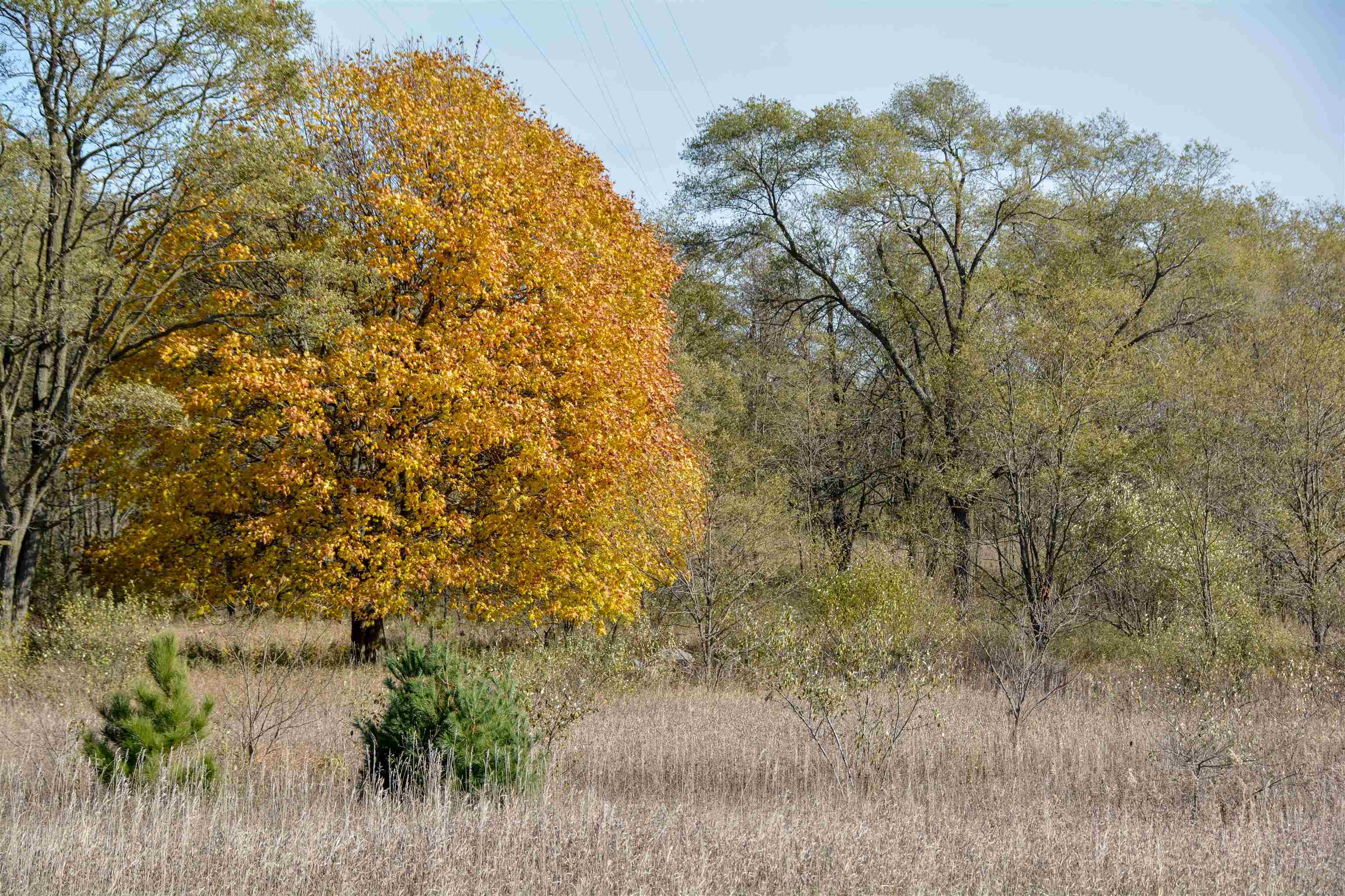 E Traverse Highway Elmwood Charter Township MI 49684