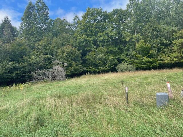 Opal Ridge Onekama Township MI 49675