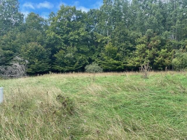 Opal Ridge Onekama Township MI 49675
