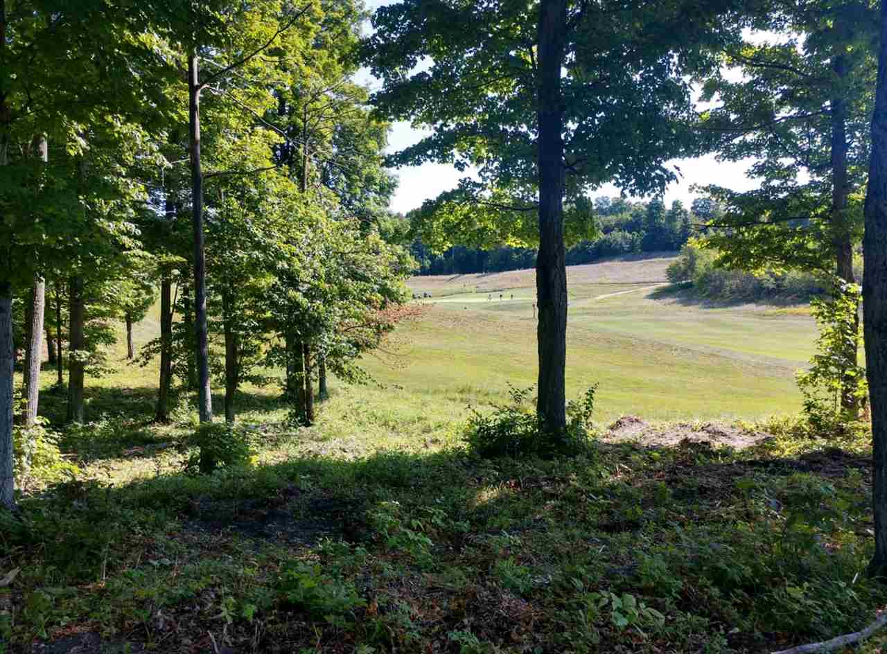 0017 Heather Ridge Trail Homestead Township MI 49617