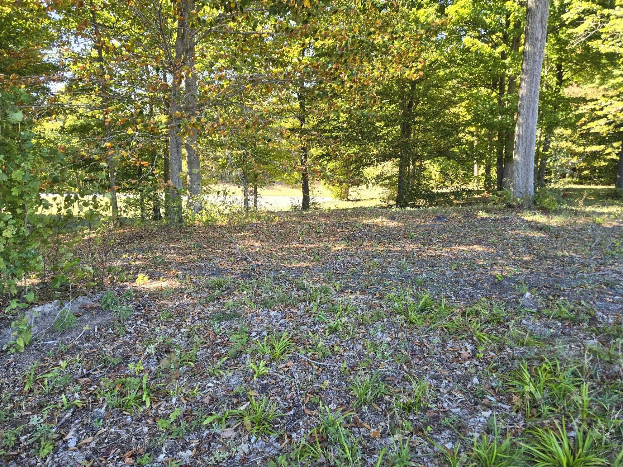 0017 Heather Ridge Trail Homestead Township MI 49617