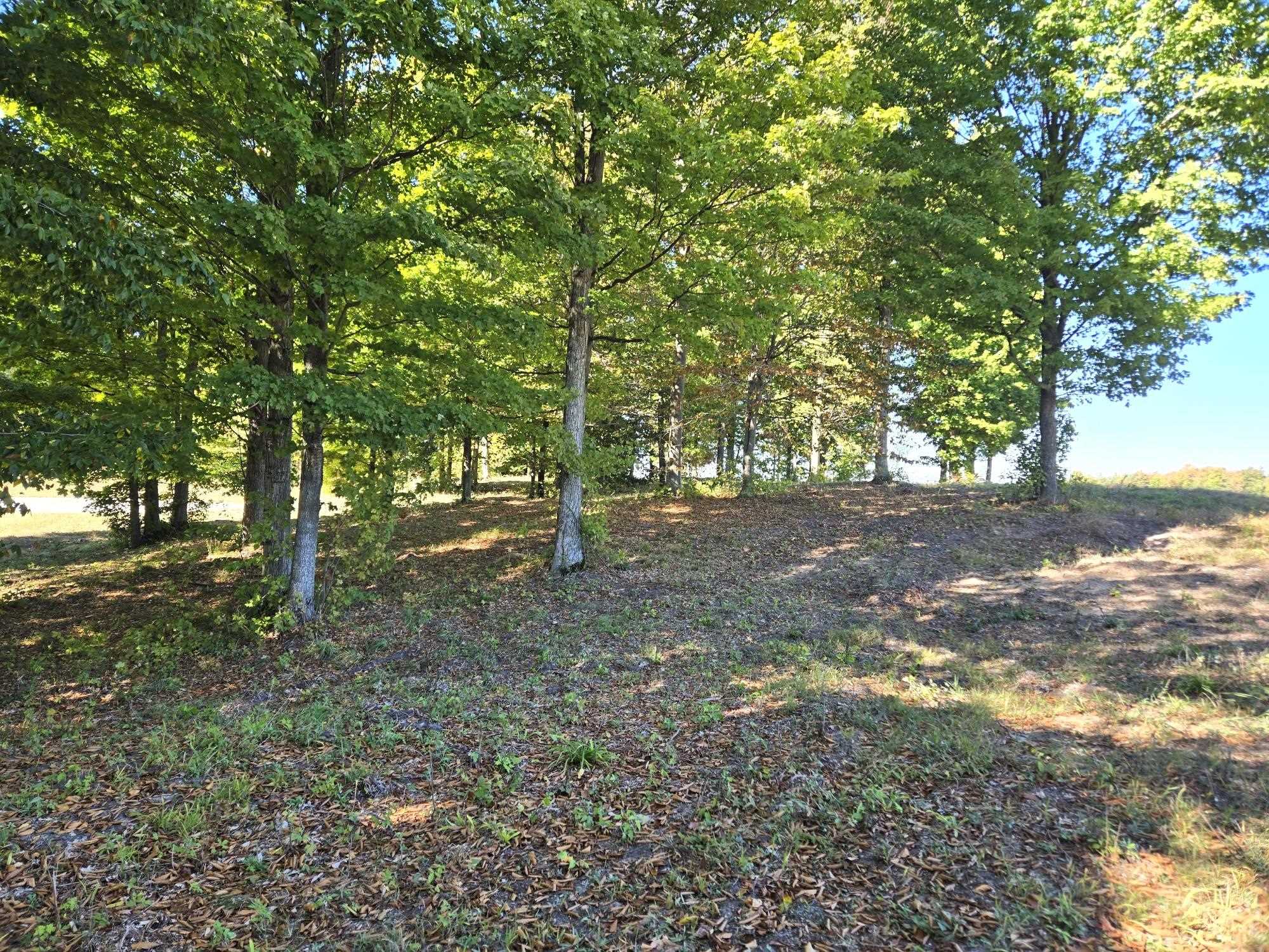 0017 Heather Ridge Trail Homestead Township MI 49617