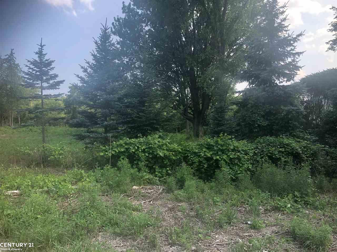 0 31 Mile Road Parcel 3 Ray Township MI 48096