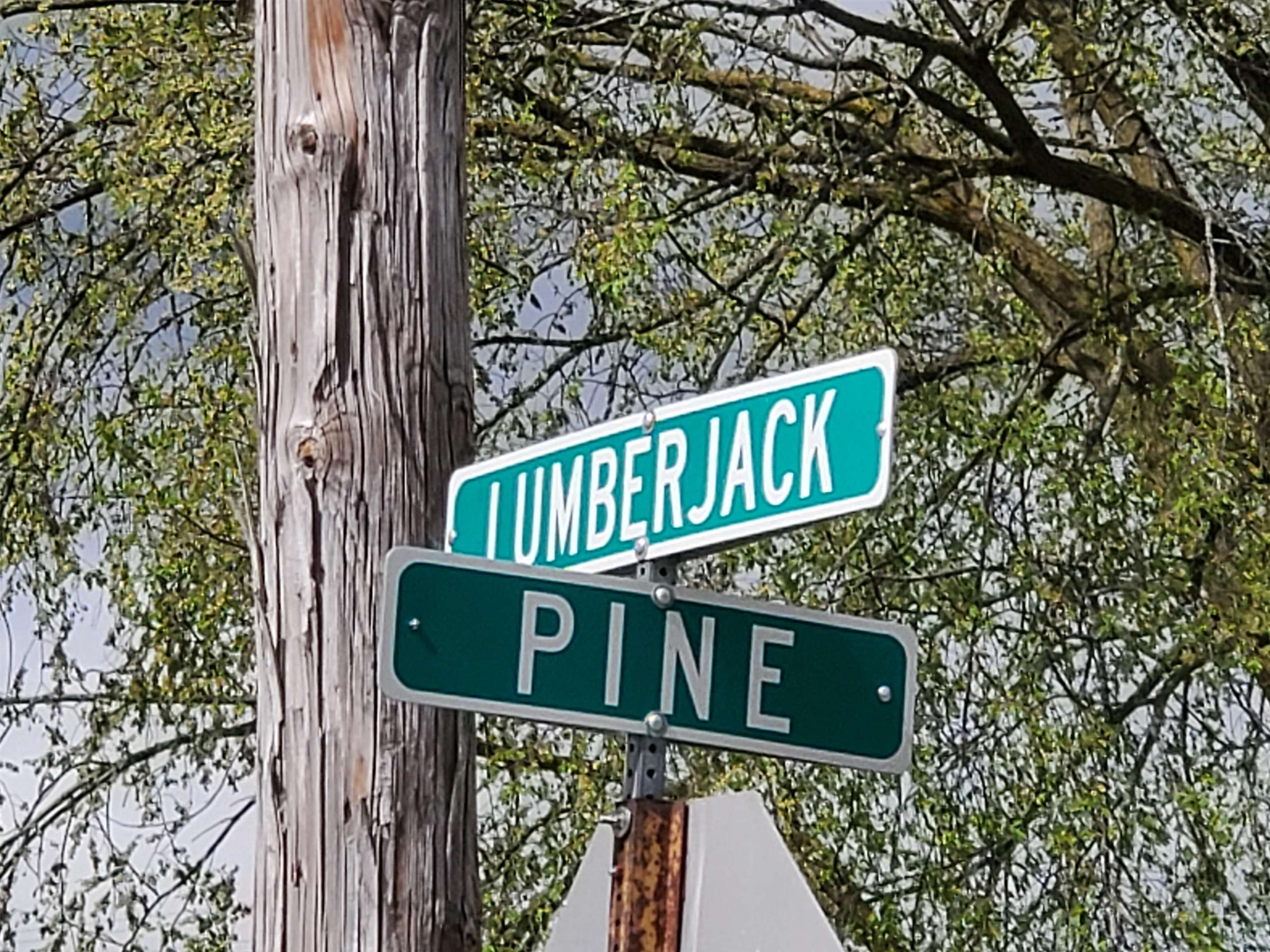 Tbd N Lumberjack Road Seville Township MI 48877