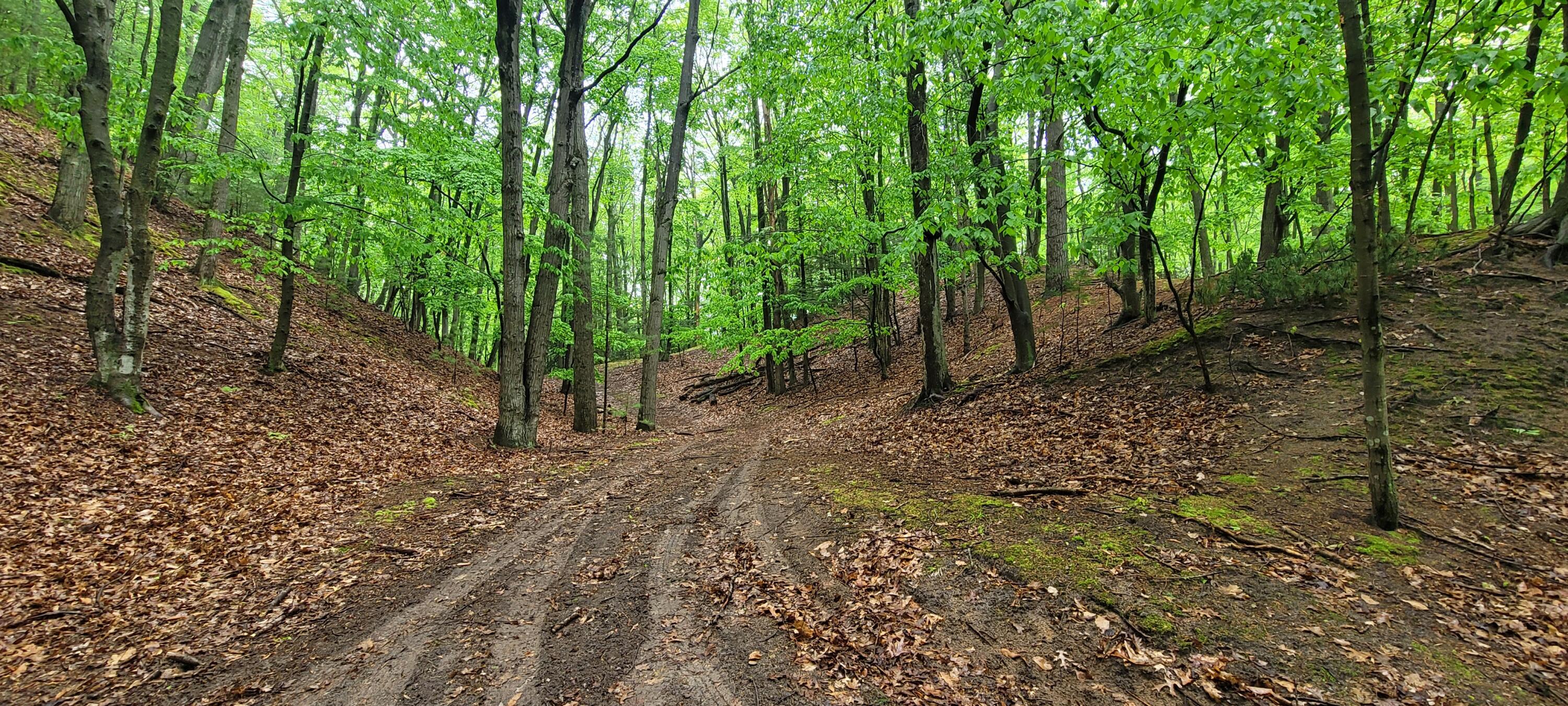 Avenue D Summit Township MI 49449