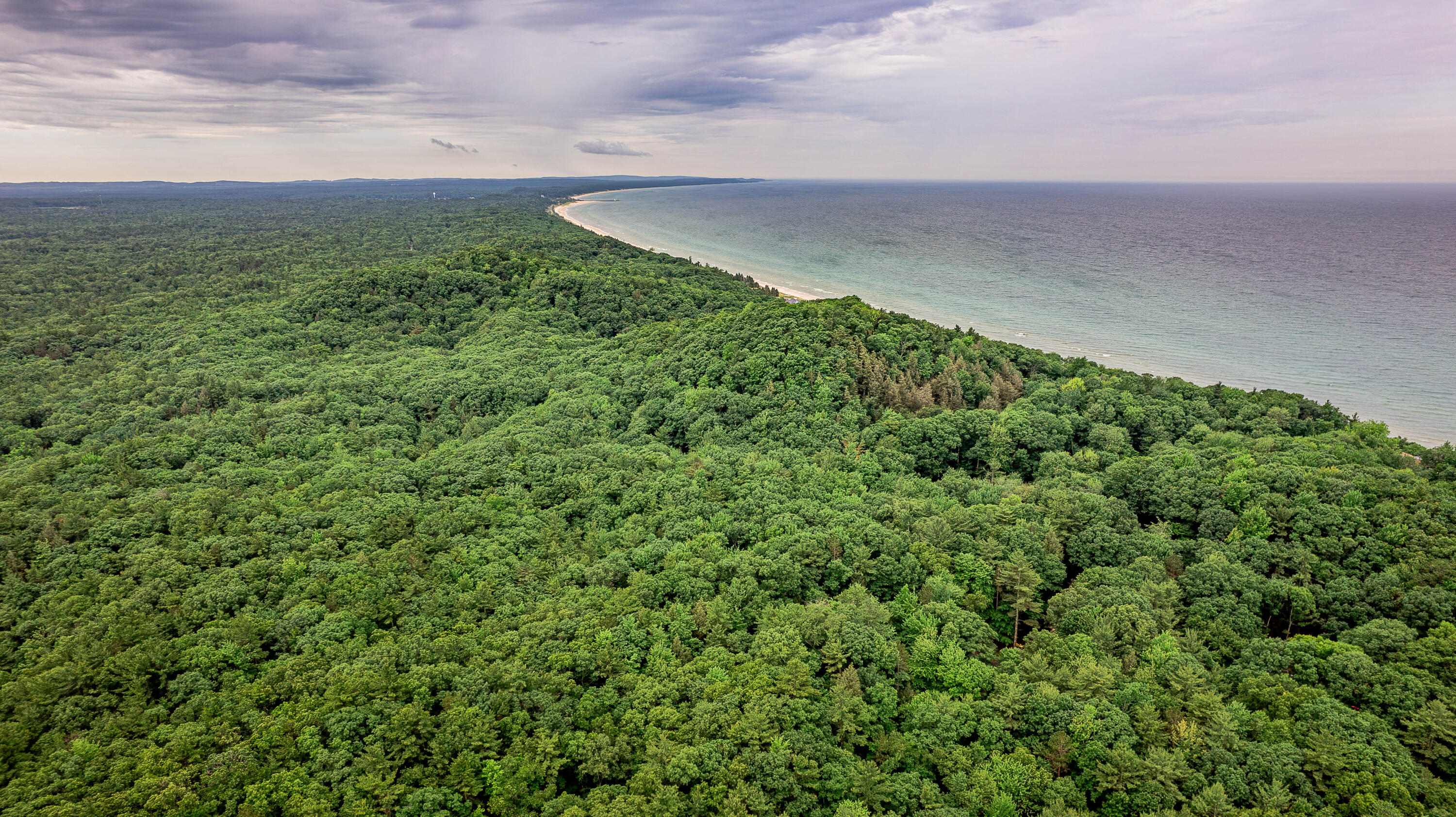 Avenue D Summit Township MI 49449