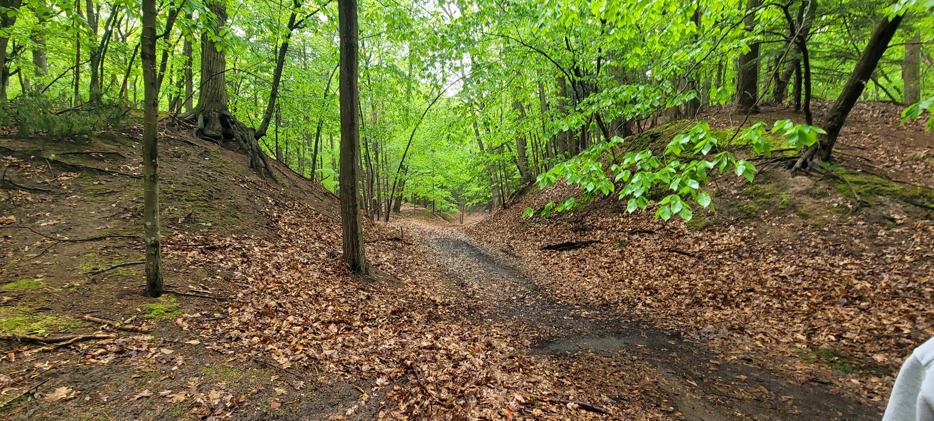 Avenue D Summit Township MI 49449