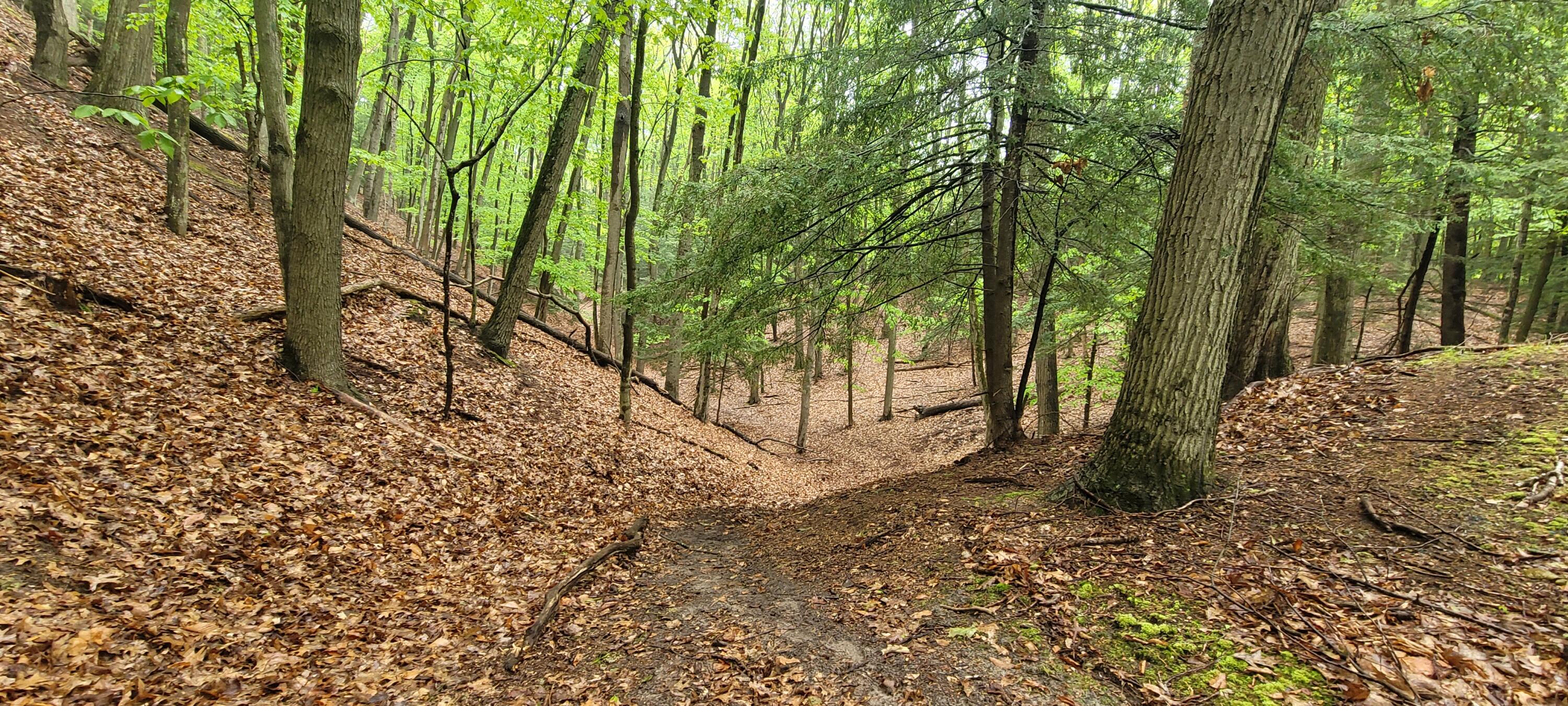 Avenue D Summit Township MI 49449