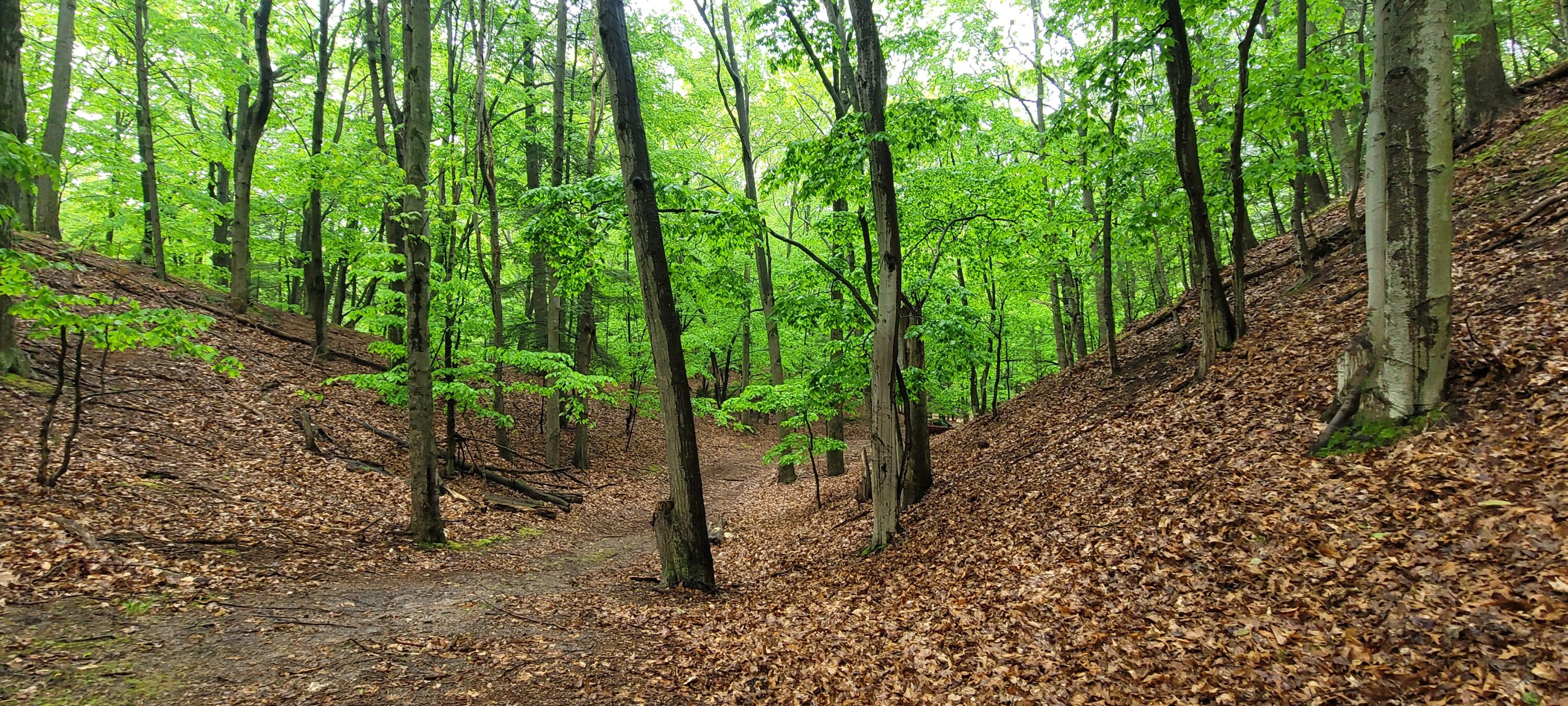Avenue D Summit Township MI 49449