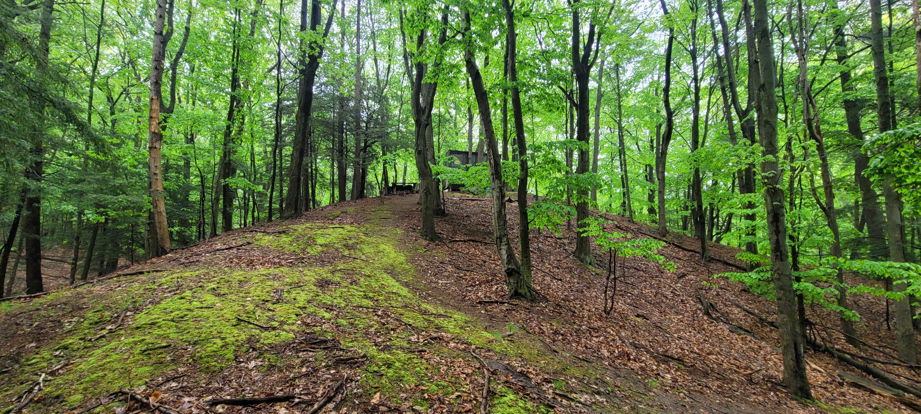 Avenue D Summit Township MI 49449