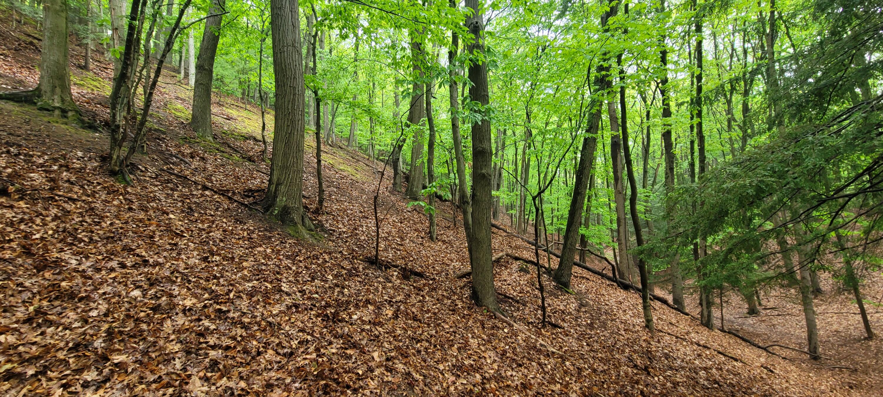 Avenue D Summit Township MI 49449