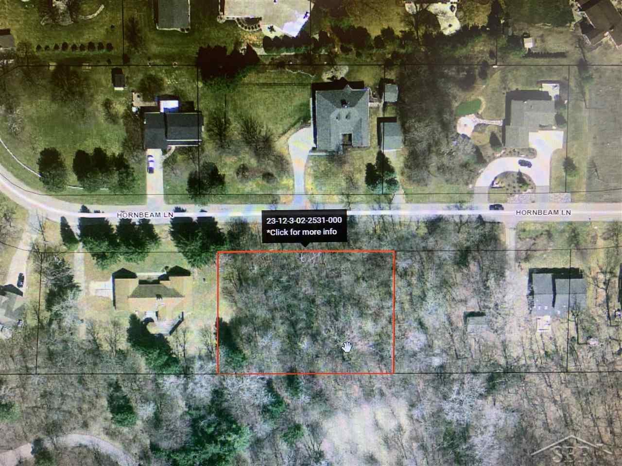 Hornbeam Saginaw Charter Township MI 48603
