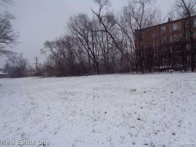 2691 Rochester Street Detroit City MI 48206