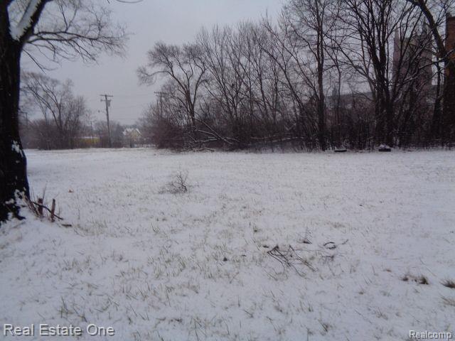 2691 Rochester Street Detroit City MI 48206