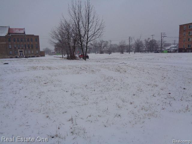 2691 Rochester Street Detroit City MI 48206