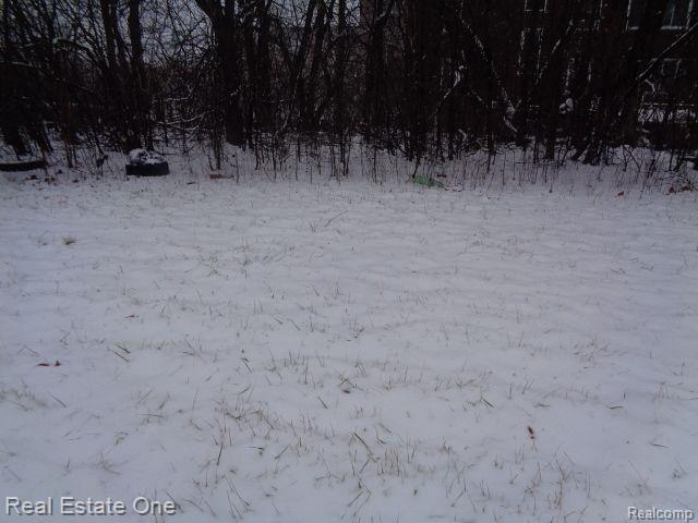 2691 Rochester Street Detroit City MI 48206