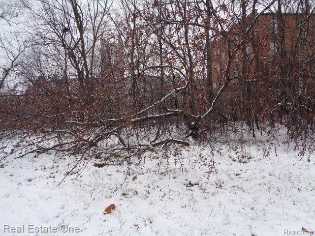2691 Rochester Street Detroit City MI 48206