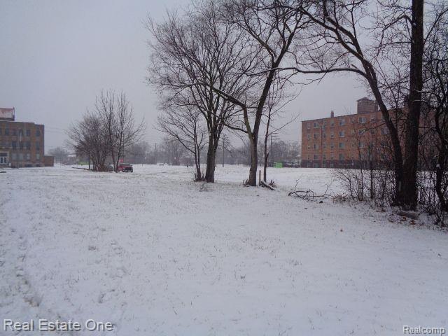 2691 Rochester Street Detroit City MI 48206