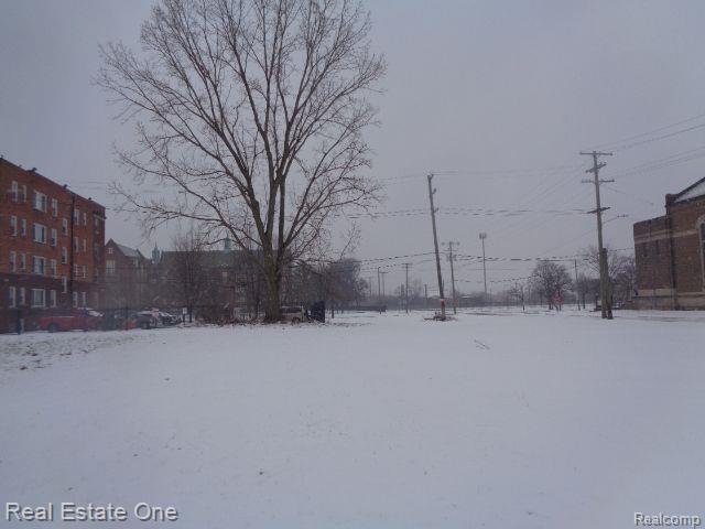 2691 Rochester Street Detroit City MI 48206