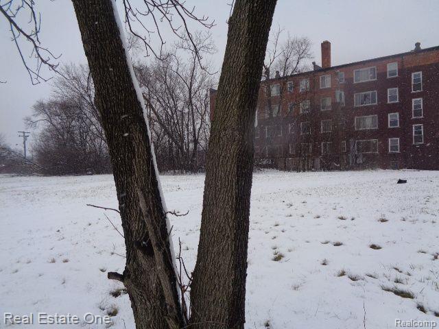 2691 Rochester Street Detroit City MI 48206