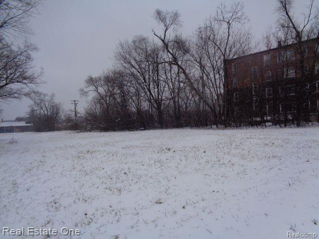 2691 Rochester Street Detroit City MI 48206