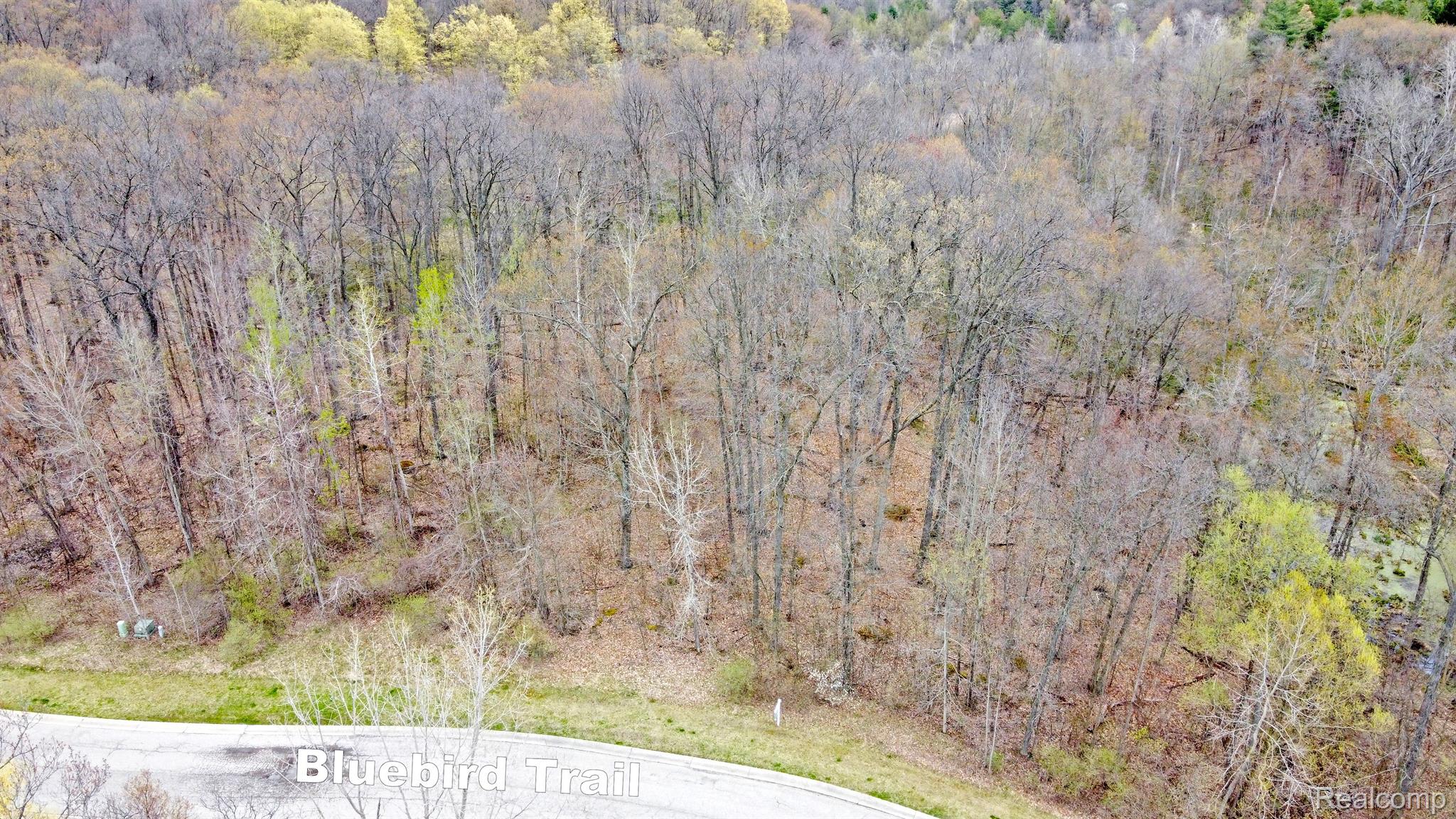 206 Astor Knolls Drive Groveland Township MI 48462