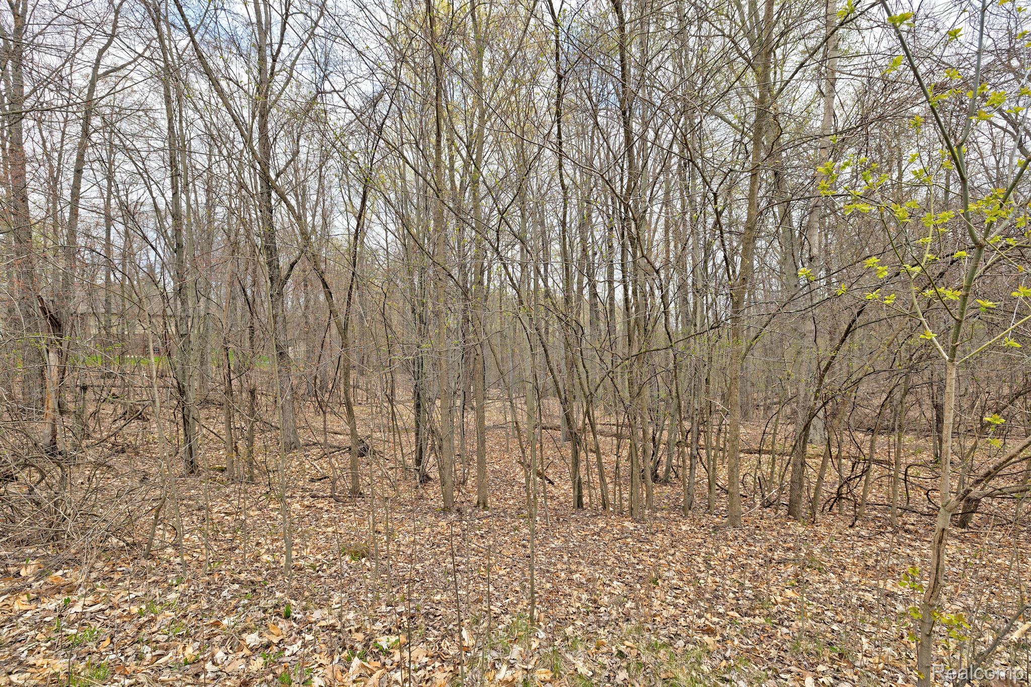 206 Astor Knolls Drive Groveland Township MI 48462