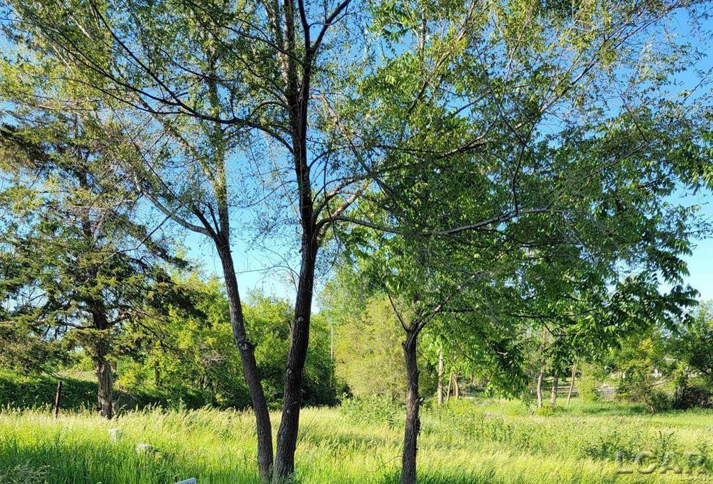 10000 M50 Road Cambridge Township MI 49265