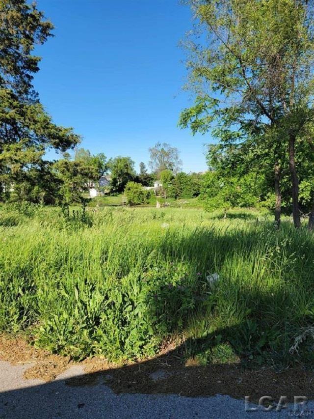 10000 M50 Road Cambridge Township MI 49265