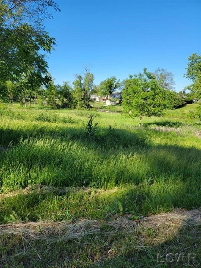 10000 M50 Road Cambridge Township MI 49265