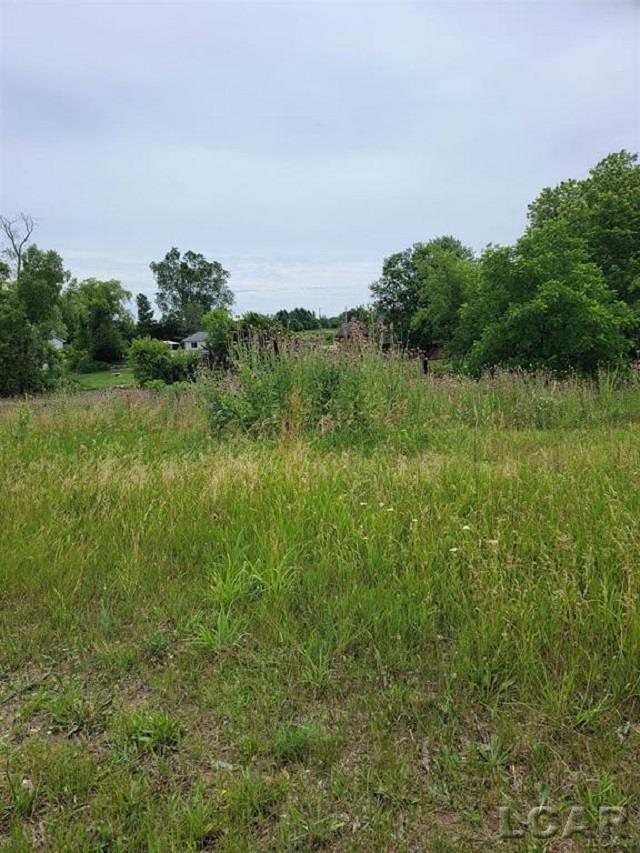 10000 M50 Road Cambridge Township MI 49265