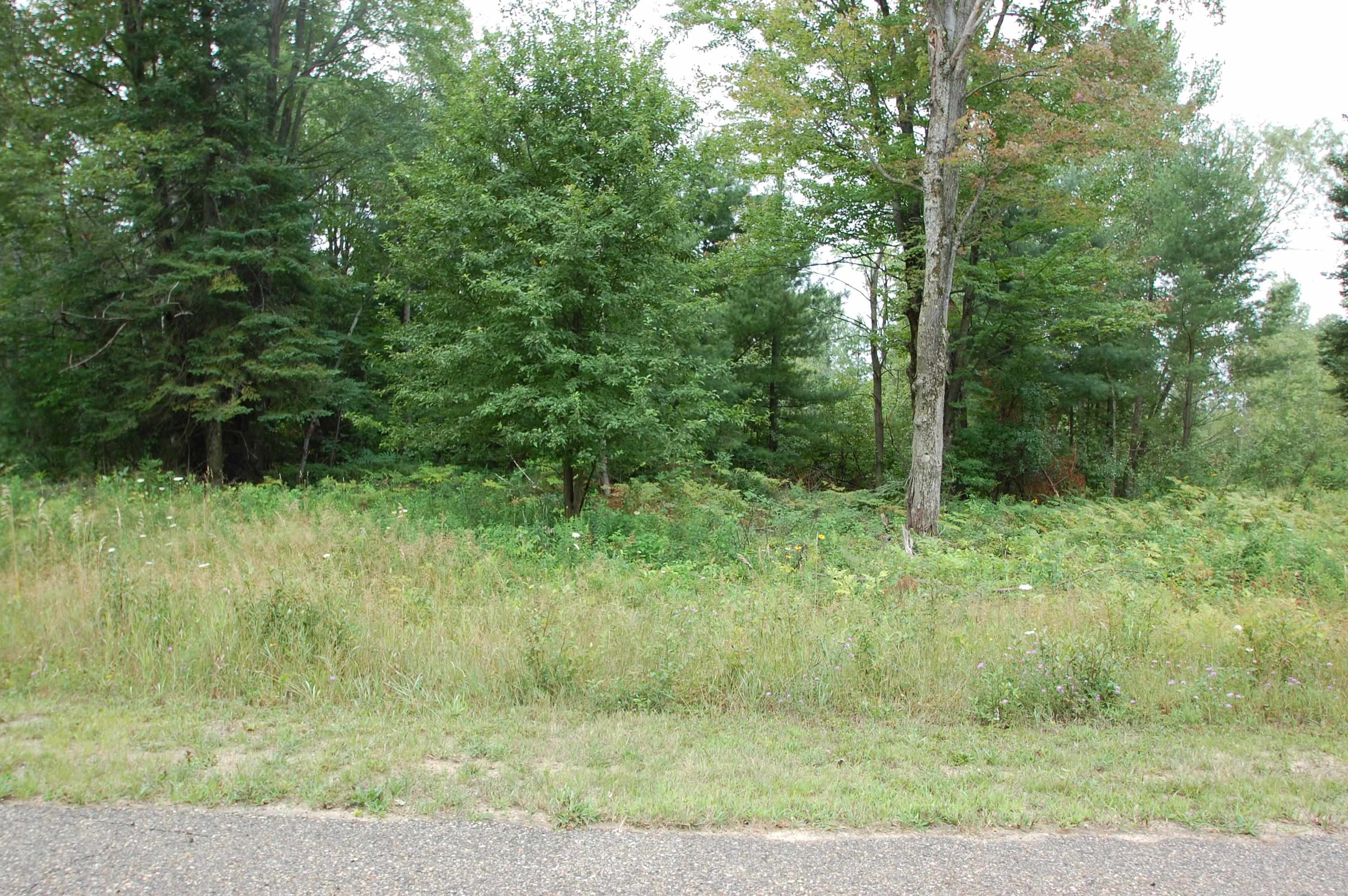 0 Arthur Court West Branch Township MI 48661