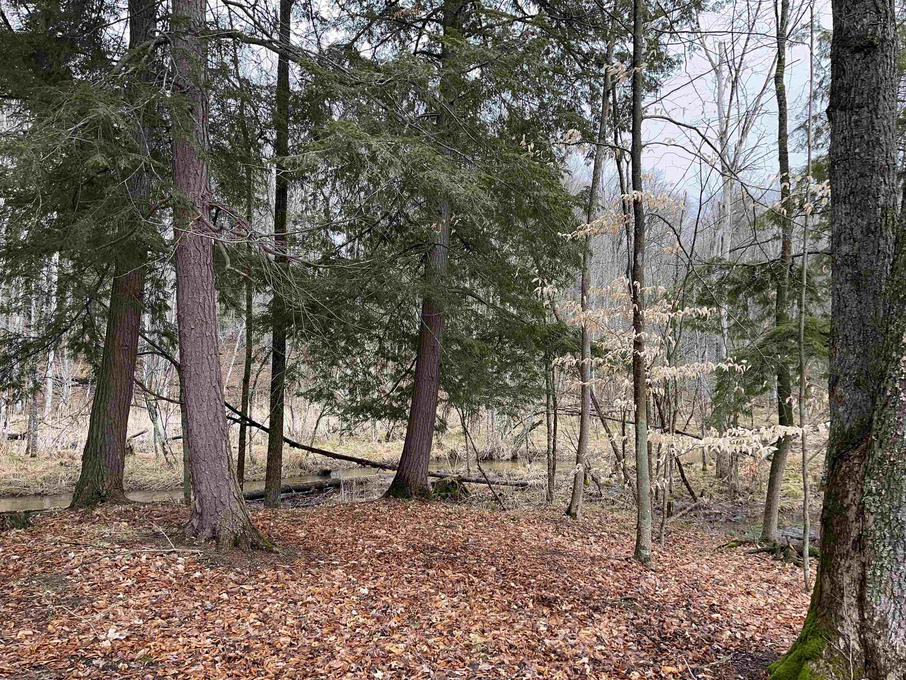 M-55 South Branch Township MI 49689