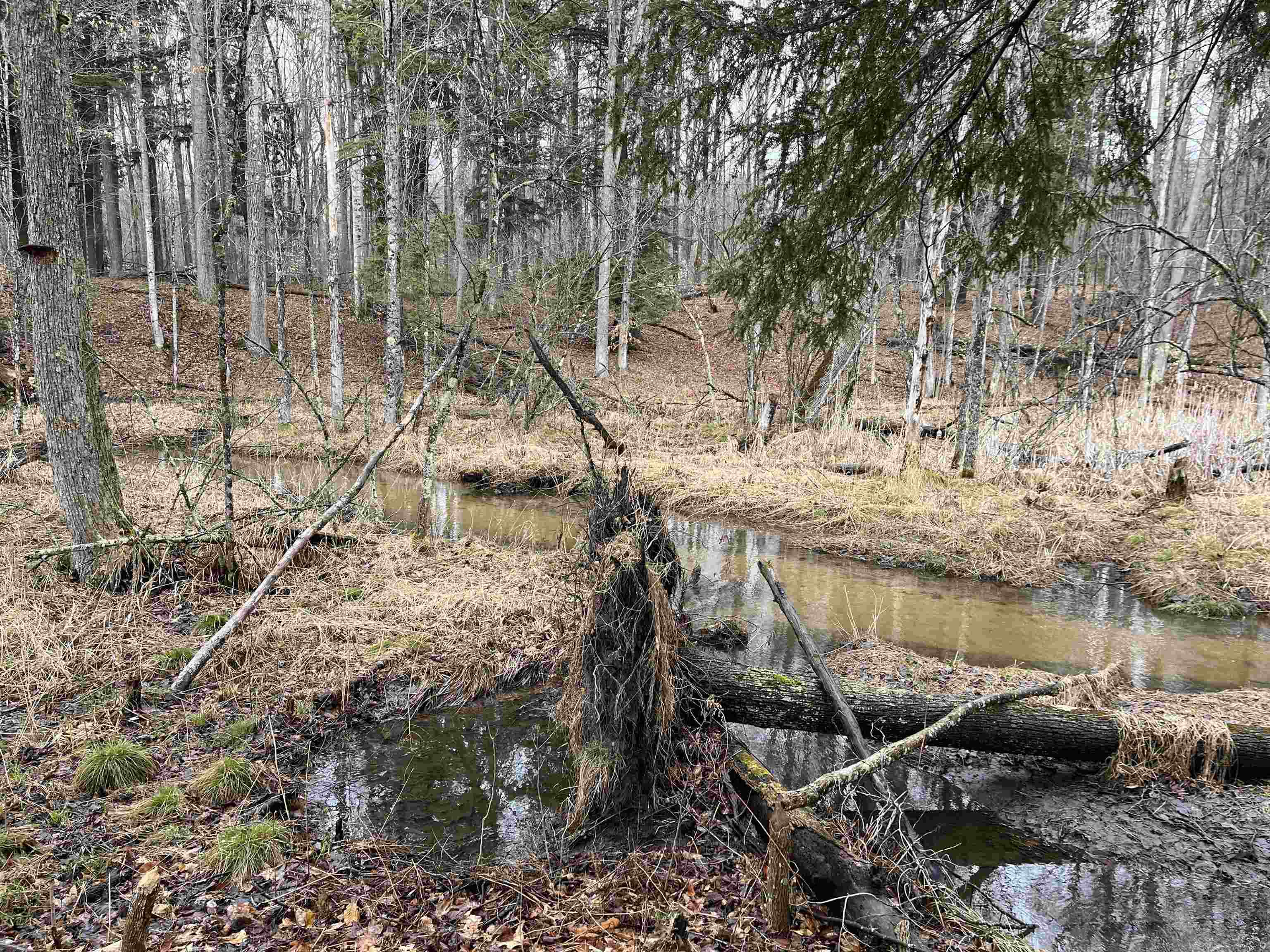 M-55 South Branch Township MI 49689