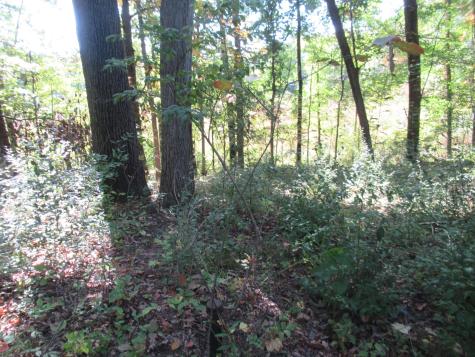 17538 Paradise Lake Road Calvin Township MI 49095